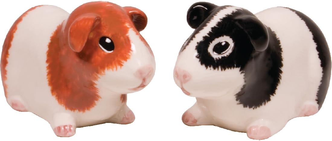 Amazon.com: Streamline Imagined Guinea Pig Salt and Pepper Shaker